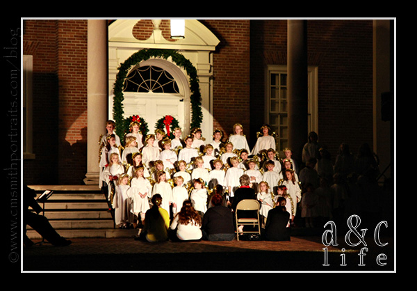 jesseblog-016 jesseblog-016